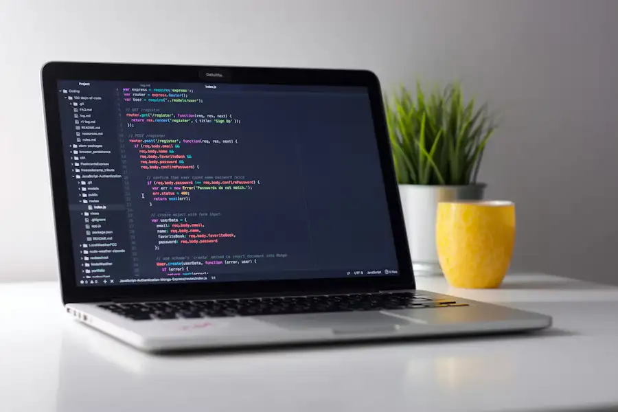 Software Development